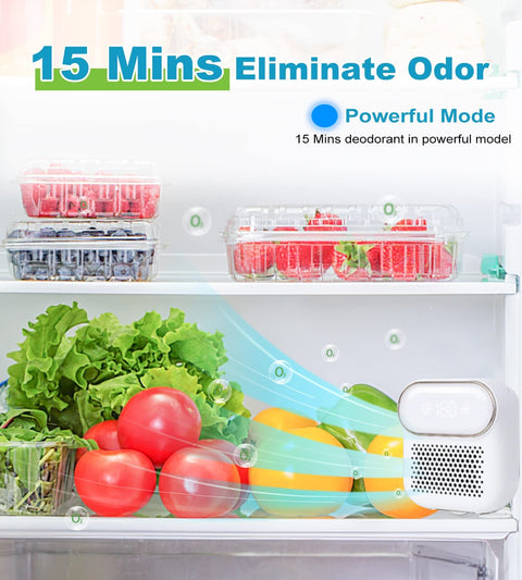 Fridge Ozone Deodorizer Sterilizer Air Purifier