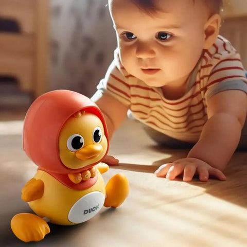 Duck Toy