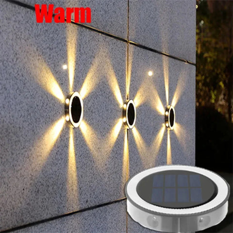 RayGuard Induction Light