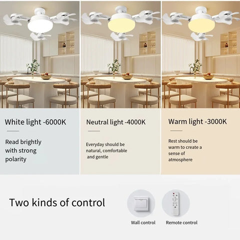 AeroBreeze LED Ceiling Fan Light