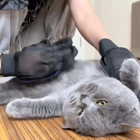 PawTidy Bath Gloves