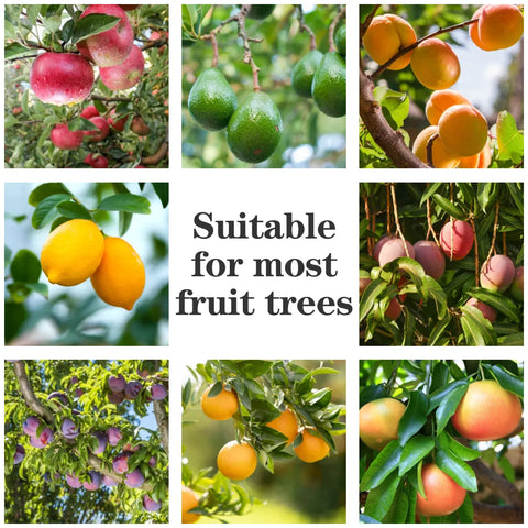 Fruit Picker Tool