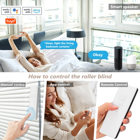 WiFi Smart Blind Controller
