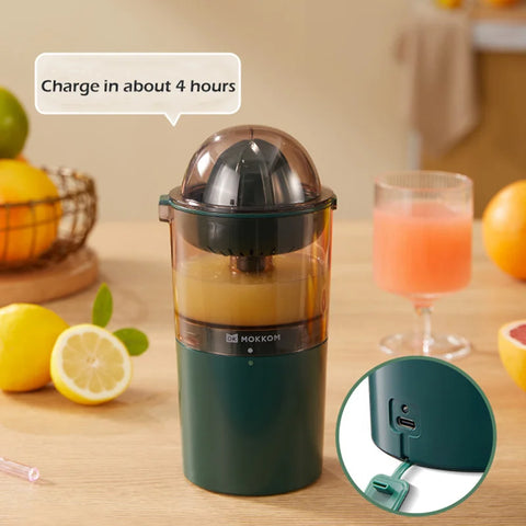 250ML Electric Juicer