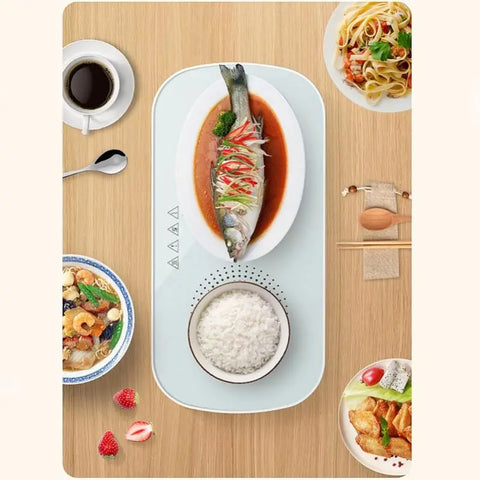Food Warmer