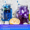 Blue Butterfly Elixir: Pure Thai Clitoria Ternatea Tea