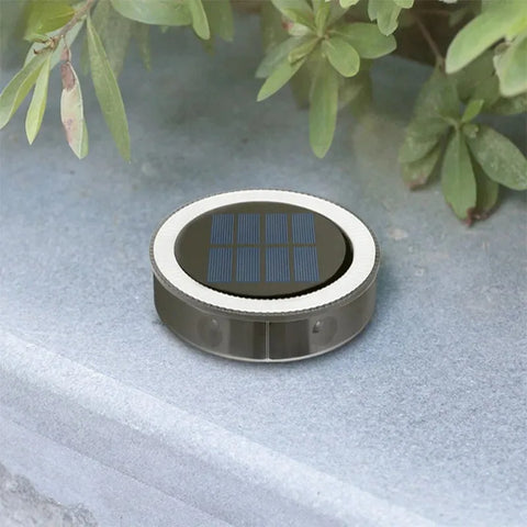 RayGuard Induction Light