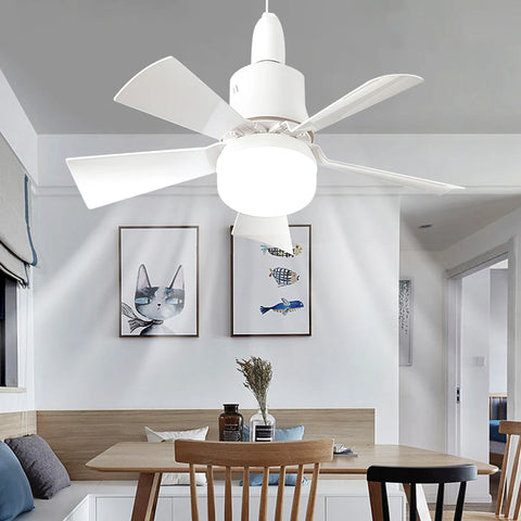 Ceiling Fan LED Light
