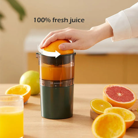 250ML Electric Juicer