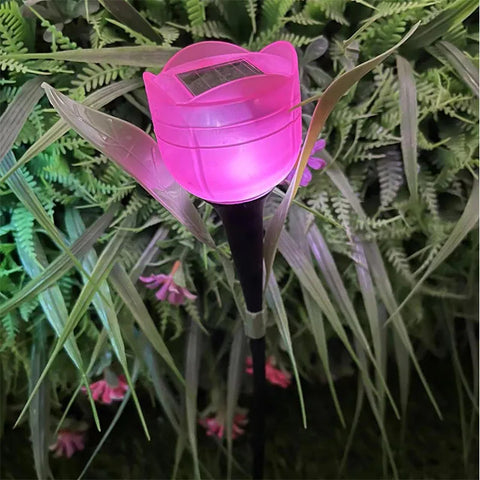Solar Light Tulip