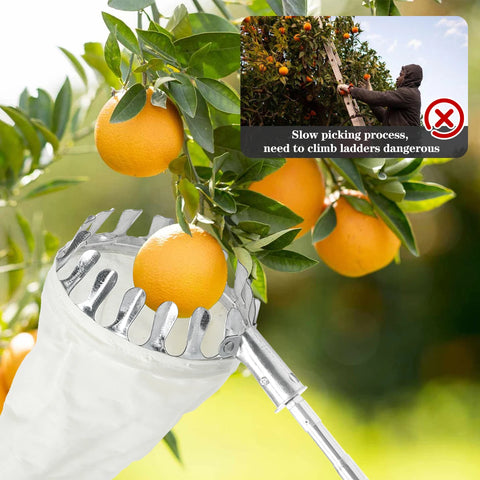 Fruit Picker Tool