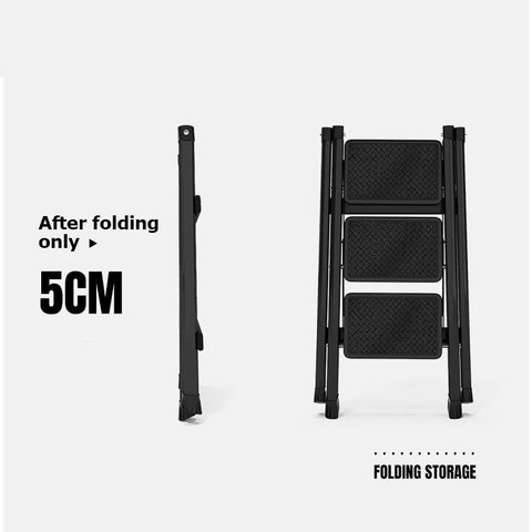 Folding Ladder