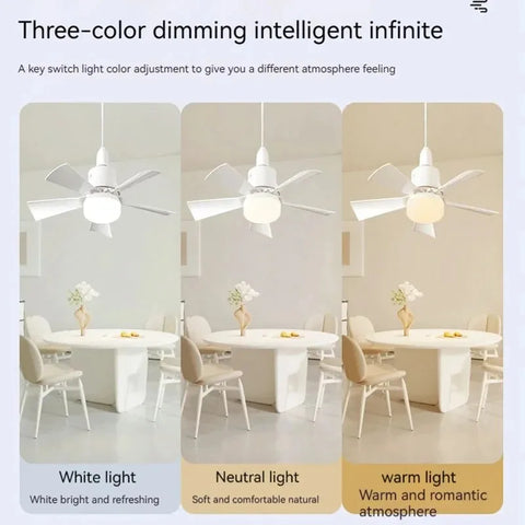 Ceiling Fan LED Light