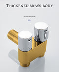Chrome Brass Hygienic Shower
