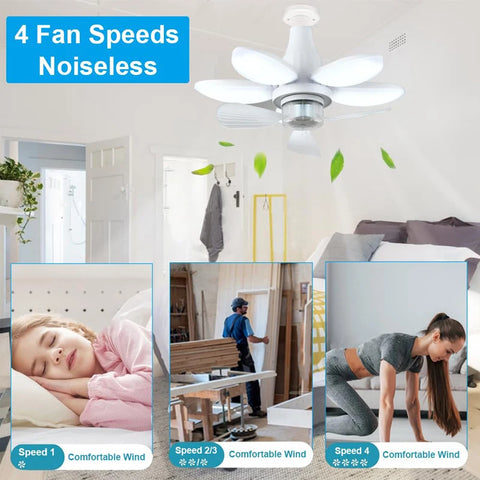 2-In-1 Ceiling Fan Light