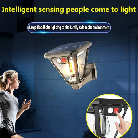 SolarFlex Duo Lamp
