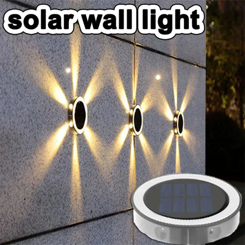 RayGuard Induction Light