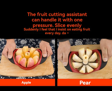 Stainless Steel Fruit Corer