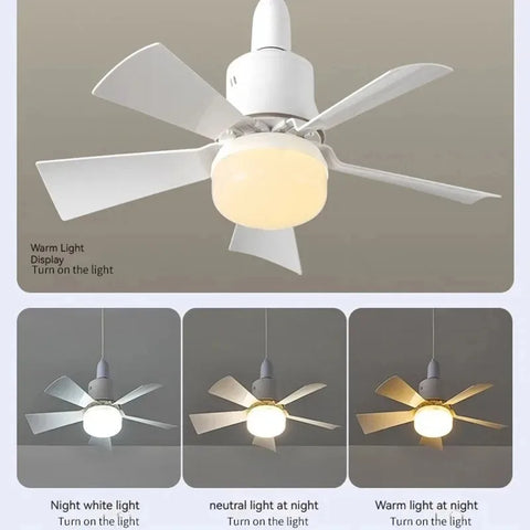 Ceiling Fan LED Light