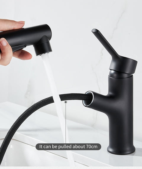 Pull Out 360 Degree Rotatable Faucet