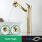 Prestige Rotating Faucet