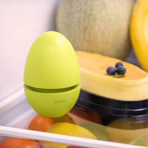 Egg Fridge Deodorizer