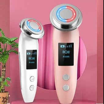 4-in-1 EMS Photon Facial Care
