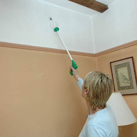 Hand-Held Insect Catcher