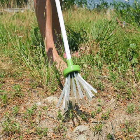 Hand-Held Insect Catcher